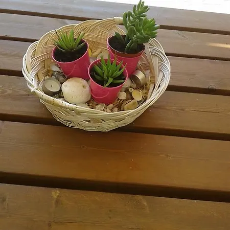 Appartement Elpida