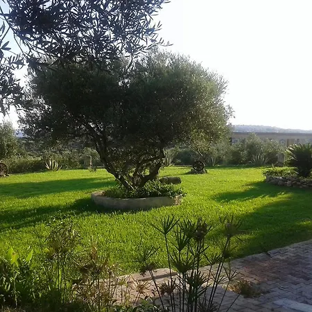 Elpida 特拉佩扎奇